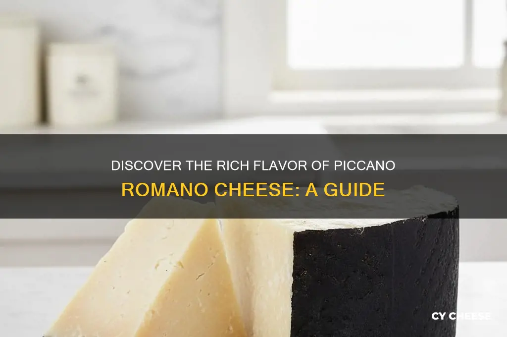 what is piccano romano cheese