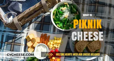 Discover Piknik Cheese: A Creamy, Spreadable Delight Explained