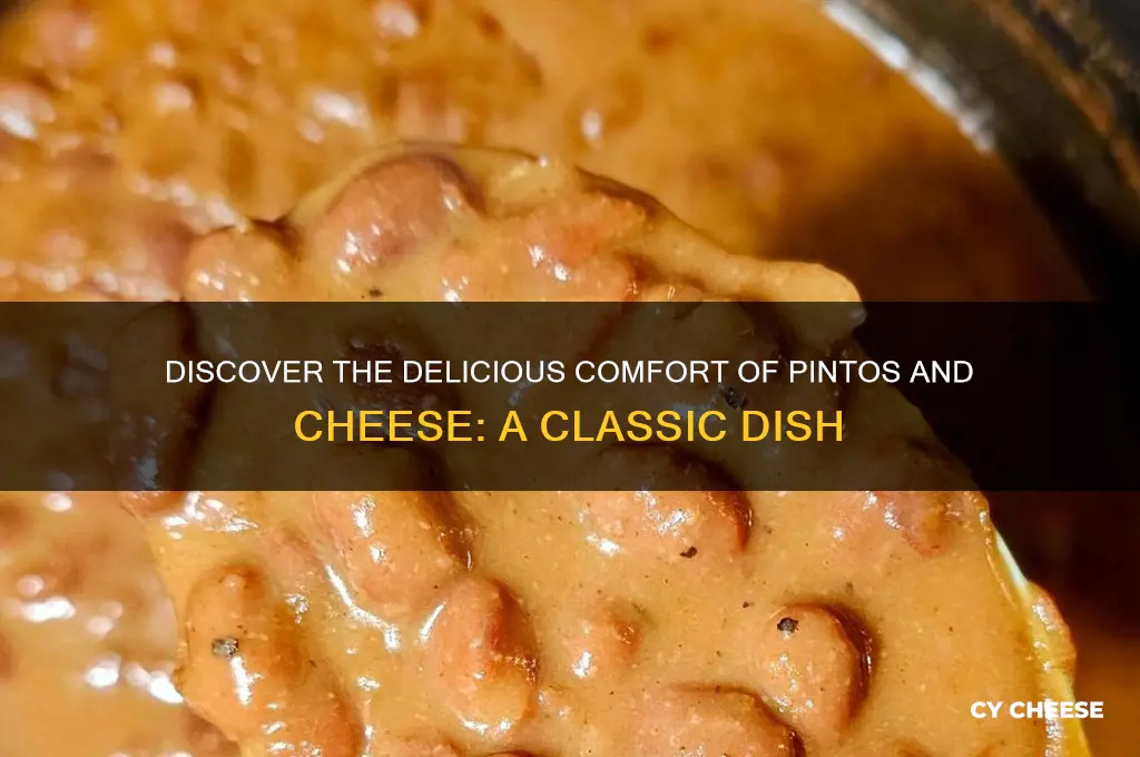 what is pintos and cheese