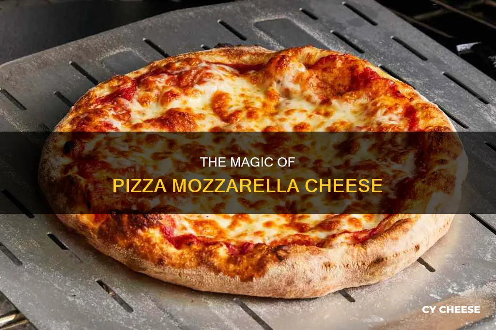 what is pizza mozzarella cheese