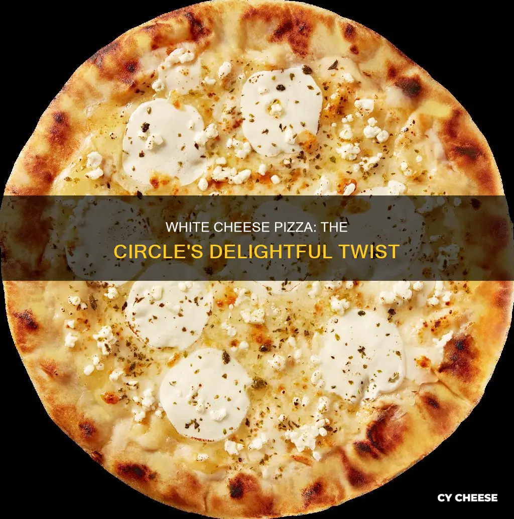 what is pizza with white cheese circle called