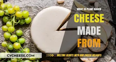 Unveiling the Secrets: Plant-Based Cheese Ingredients Revealed