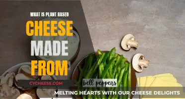Plant-Based Cheese: What's in This Dairy Alternative?