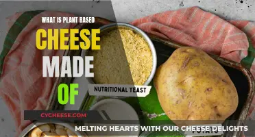 Plant-Based Cheese: What's in This Dairy Alternative?