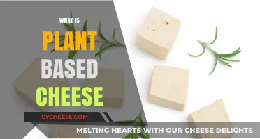 Exploring Plant-Based Cheese: Ingredients, Benefits, and Delicious Alternatives