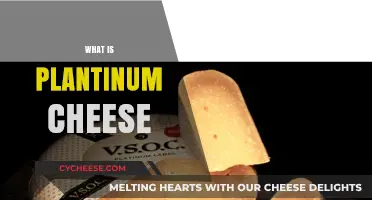 Discovering Platinum Cheese: Origins, Flavor, and Culinary Uses Explained