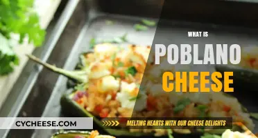 Discover Poblano Cheese: Flavor, Uses, and Easy Recipe Ideas