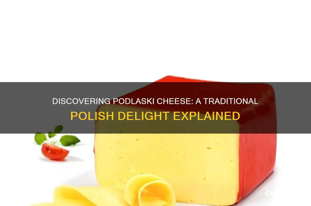 what is podlaski cheese