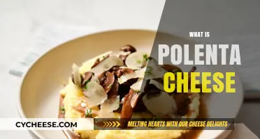 Discover Polenta Cheese: Ingredients, Uses, and Flavor Profile Explained