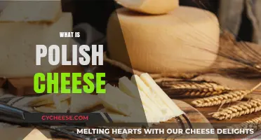 Discovering the Rich Flavors and Varieties of Polish Cheese