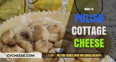 Discovering Polish Cottage Cheese: A Traditional Delight Explained