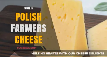 Discovering Polish Farmers Cheese: A Creamy, Versatile Dairy Delight