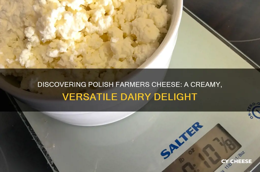 what is polish farmers cheese