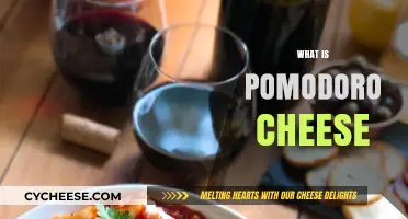 Discover the Rich Flavors of Pomodoro Cheese: A Tasty Guide