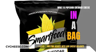 Popcorn Cheddar Cheese: A Tasty Snack Adventure