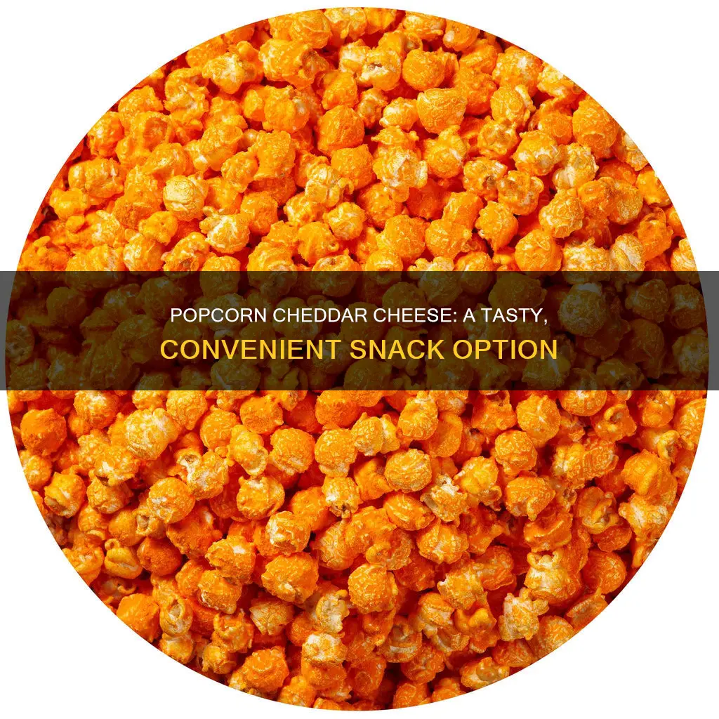 what is popcorn cheddar cheese in a bag
