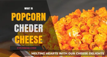 Popcorn Cheddar Cheese: A Crunchy, Cheesy Snack Explained