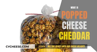 Popped Cheese Cheddar: A Tasty, Healthy Snack Option