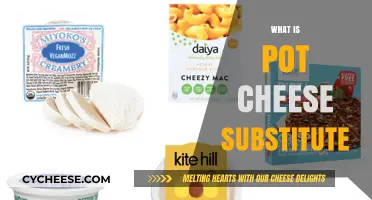 Discover the Best Pot Cheese Substitute for Your Recipes