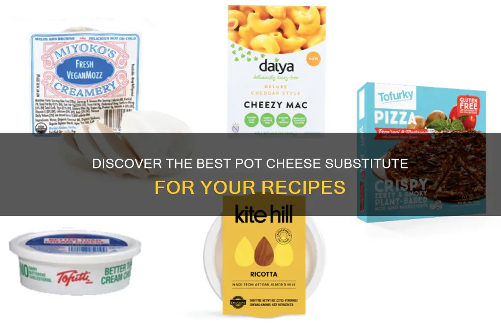 what is pot cheese substitute