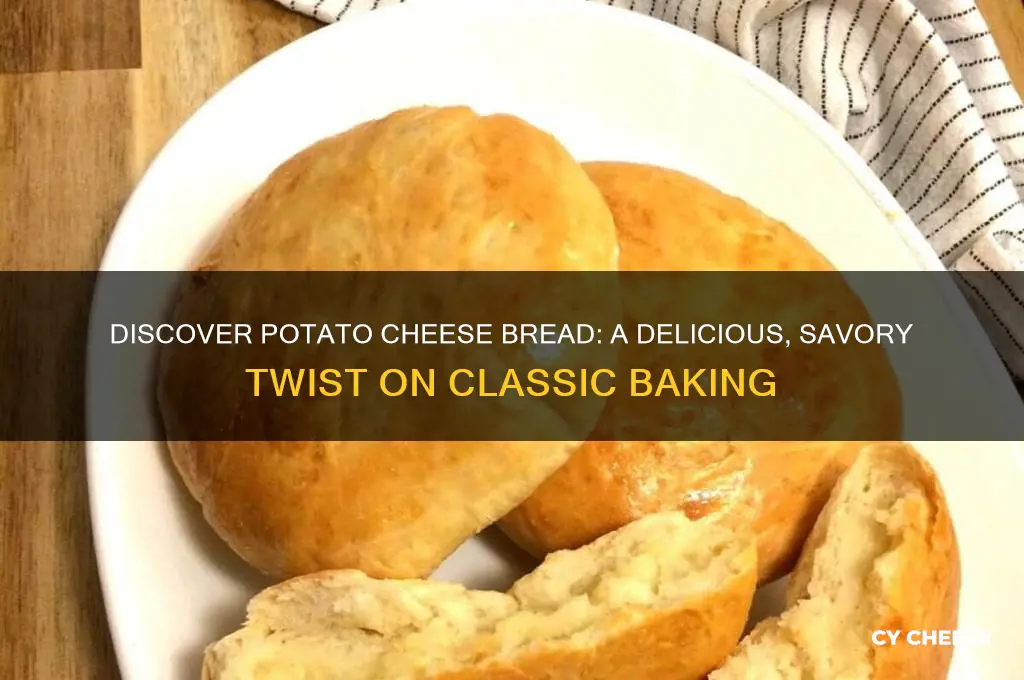 what is potato cheese bread