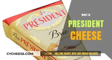 What is President Cheese? A Guide to the Premium French Brand