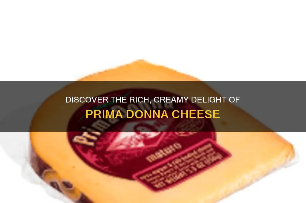 what is prima donna cheese