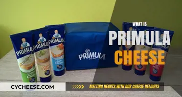 Discover the Creamy Delight: What is Primula Cheese?
