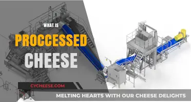 Understanding Processed Cheese: Ingredients, Production, and Nutritional Value