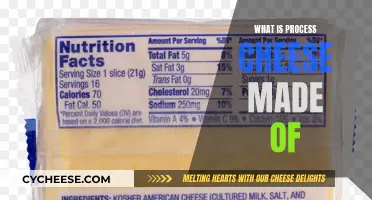 The Science Behind Processed Cheese: Ingredients and More