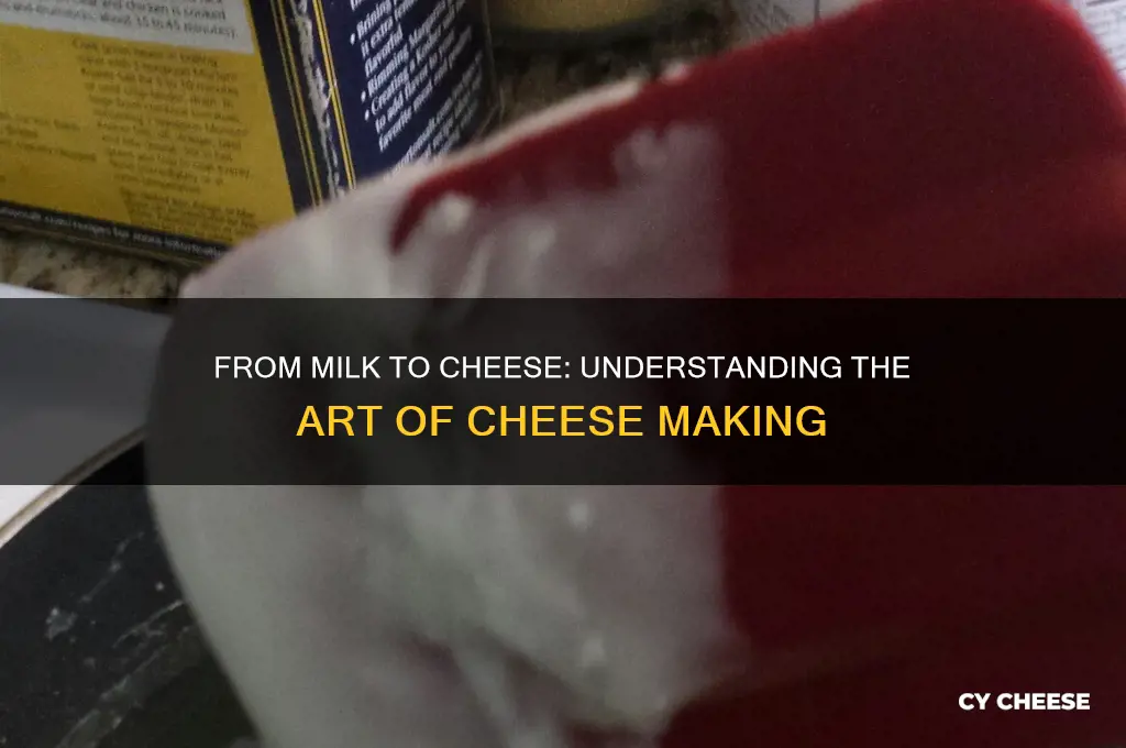 what is process of milk turning to cheese