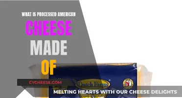 The Mystery Behind Processed American Cheese Ingredients