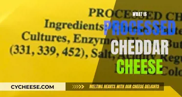 Unveiling the Secrets: Understanding Processed Cheddar Cheese