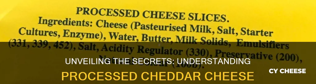 what is processed cheddar cheese