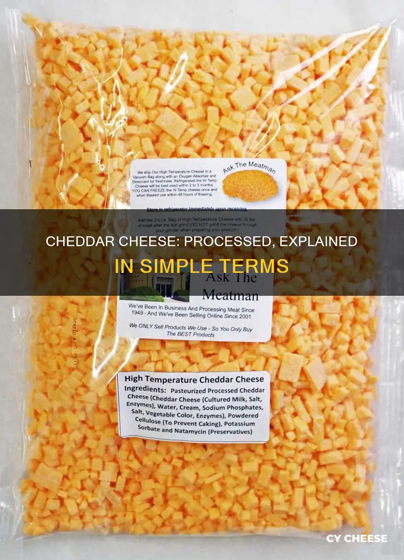 what is processed cheddar cheese
