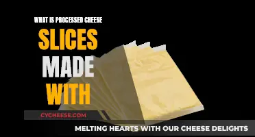 The Science Behind Processed Cheese Slices