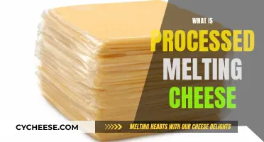 The Magic Behind Processed Melting Cheese
