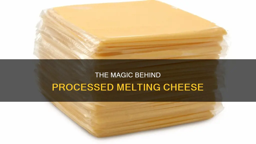 what is processed melting cheese