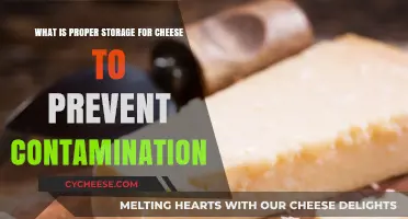 Proper Cheese Storage Tips to Prevent Contamination and Maintain Freshness