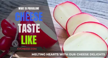 Provolone Cheese: A Taste of Italy's Rich History
