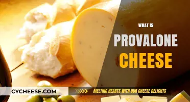 Discover Provolone Cheese: Origin, Flavor, Uses, and Varieties Explained