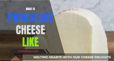 Provolone Cheese: A Tasty, Tangy, and Versatile Italian Treat