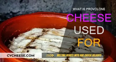 Provolone Cheese: Uses and Pairings