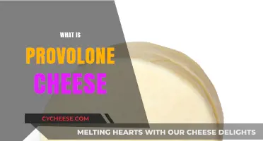 Discover the Rich Flavor and History of Provolone Cheese