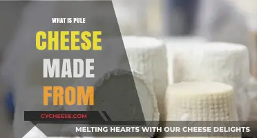 Pule Cheese: Unveiling the Secrets of This Unique Bulgarian Delicacy