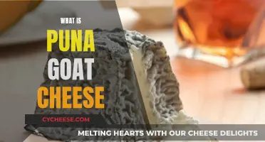 Unveiling the Secrets of Puna Goat Cheese: A Tasty Adventure