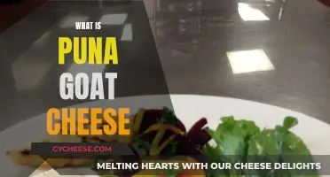 Goat Cheese Delicacy: Puna's Unique Flavor