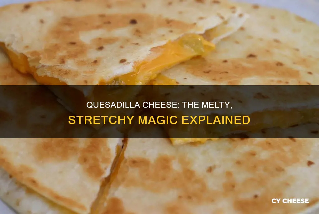 what is quesadilla cheese made of