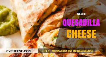 Discover the Perfect Quesadilla Cheese: Types, Melts, and Flavors