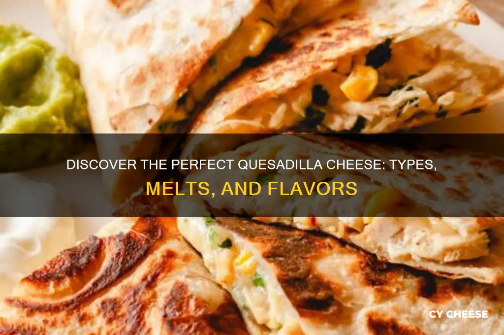 what is quesadilla cheese